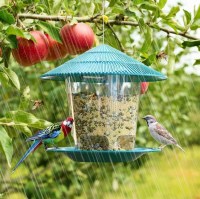 bird feeder4